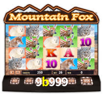 Interface Premium 9b999